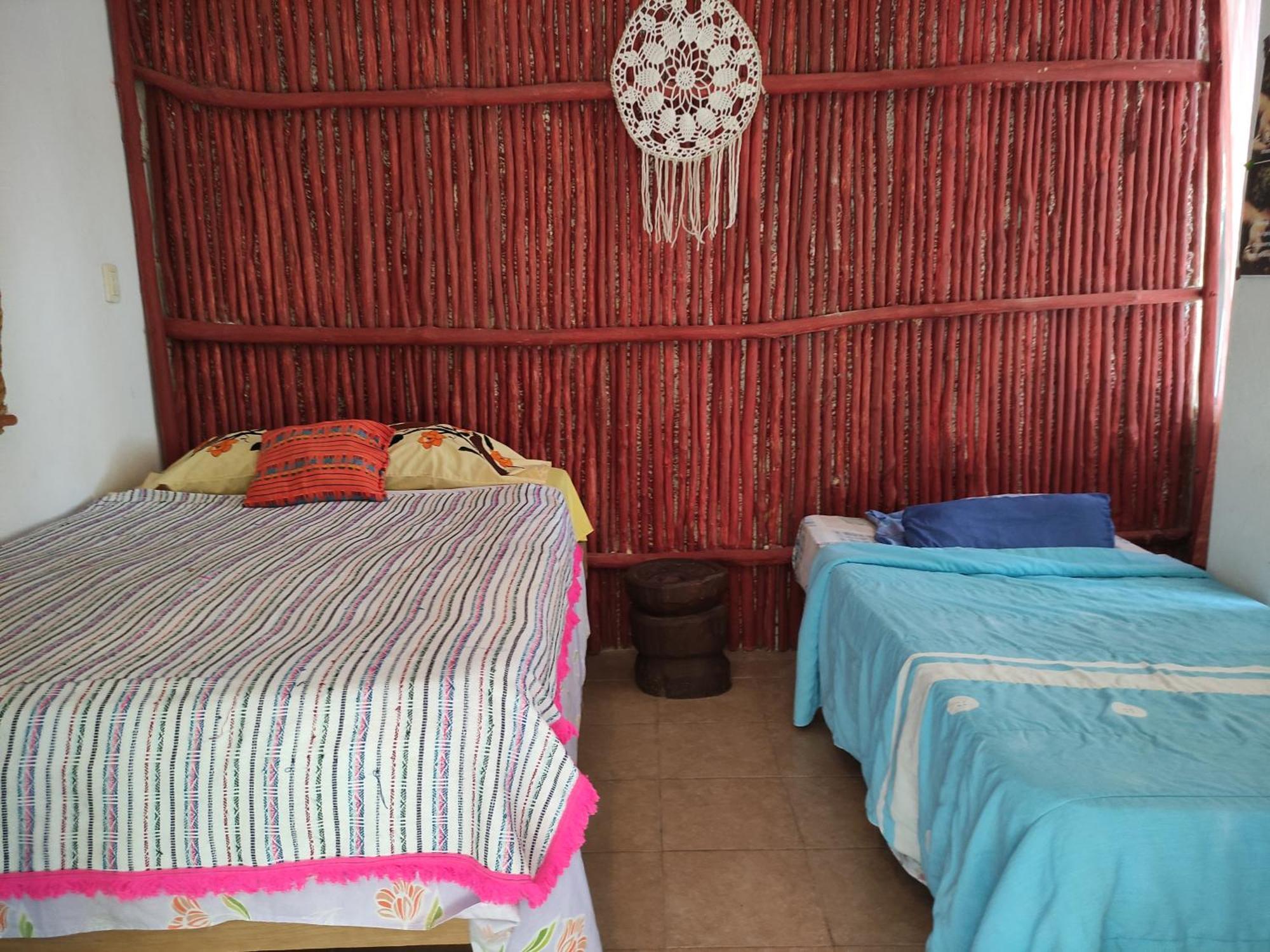 Near Lake Hostal Bacalar Rom bilde
